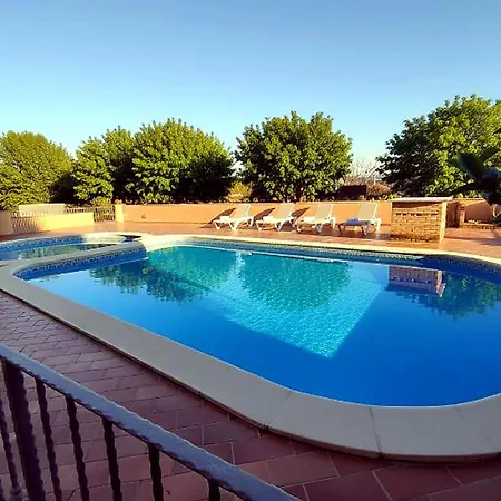 Pellicano Azzurro By Interhome Appartamento *